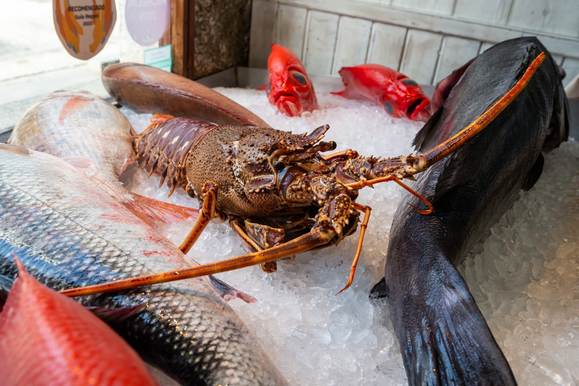 Mariscada en Baiona