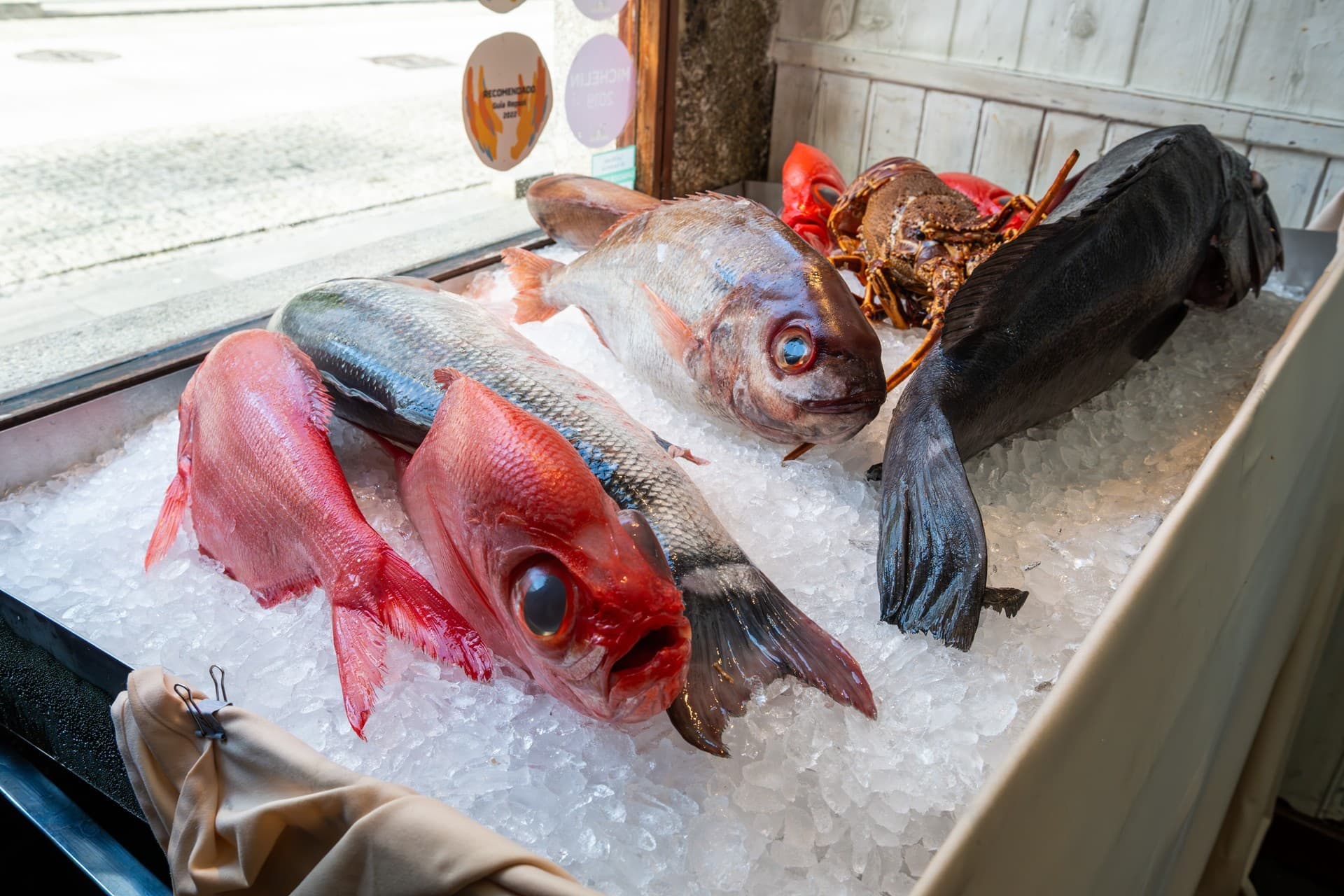 ¿Quiere conocer nuestra propuesta de pescados del día? ¡Visítenos!