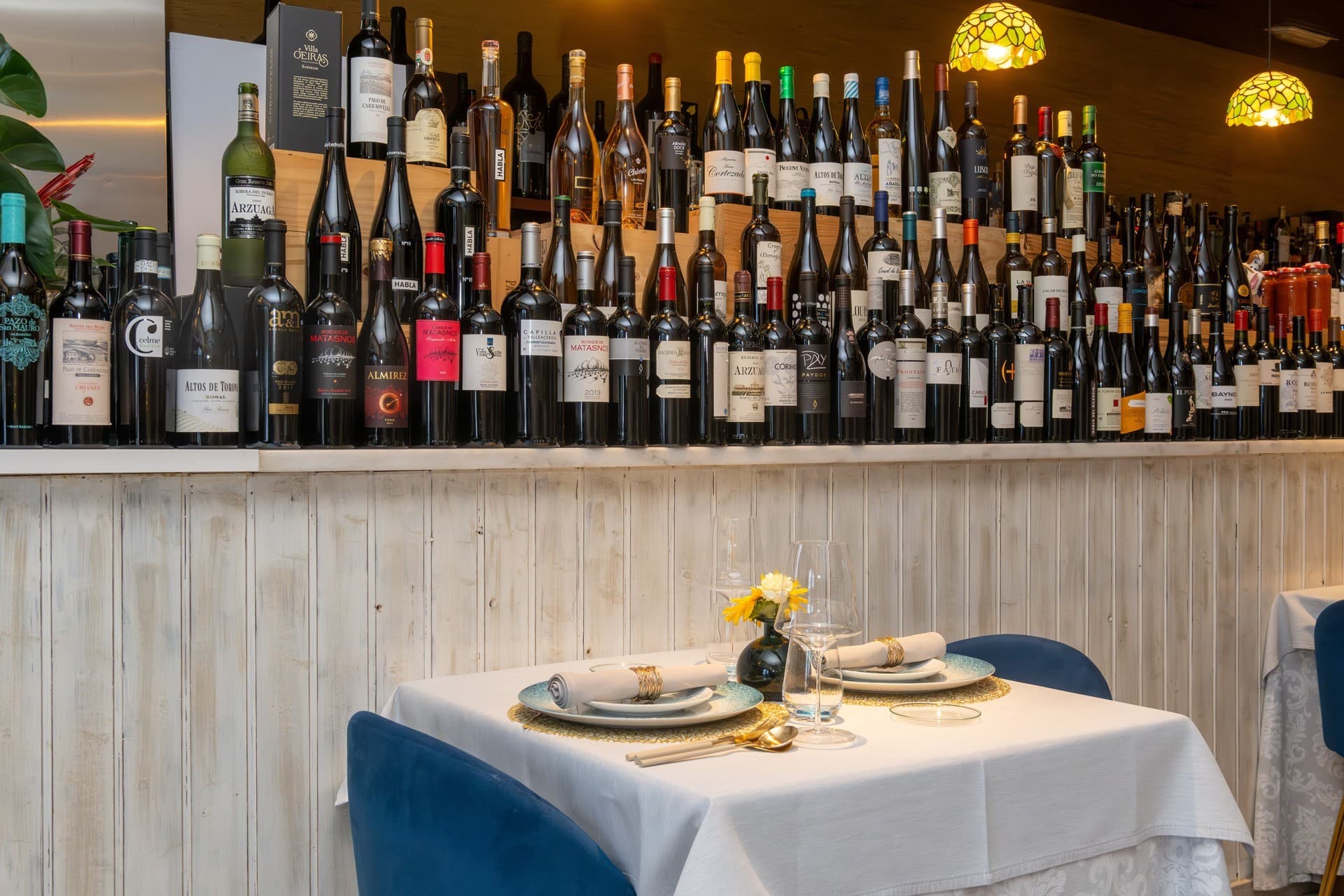 Bodega de vinos con más de 300 referencias seleccionadass